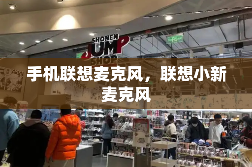 手机联想麦克风，联想小新麦克风-第1张图片-星选测评