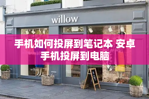 手机如何投屏到笔记本 安卓手机投屏到电脑-第1张图片-星选测评