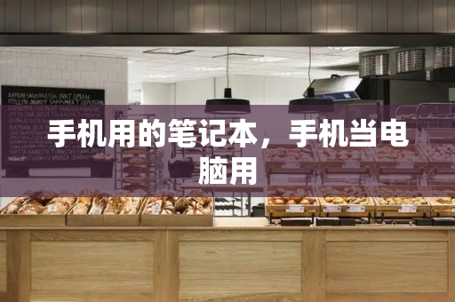 手机用的笔记本，手机当电脑用-第1张图片-星选测评