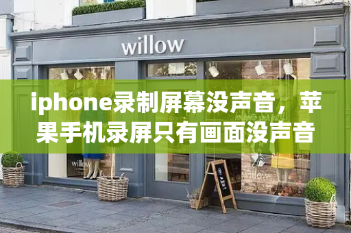 iphone录制屏幕没声音，苹果手机录屏只有画面没声音