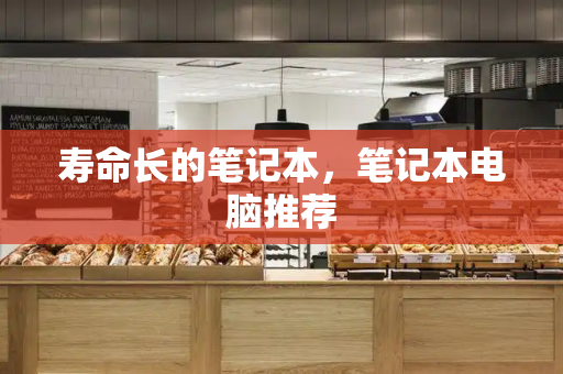 寿命长的笔记本，笔记本电脑推荐