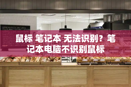 鼠标 笔记本 无法识别？笔记本电脑不识别鼠标