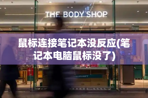 鼠标连接笔记本没反应(笔记本电脑鼠标没了)