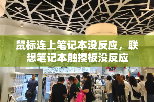鼠标连上笔记本没反应，联想笔记本触摸板没反应-第1张图片-星选测评