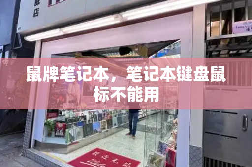 鼠牌笔记本，笔记本键盘鼠标不能用