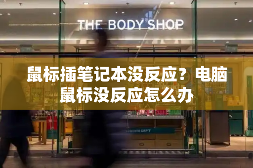 鼠标插笔记本没反应？电脑鼠标没反应怎么办-第1张图片-星选测评