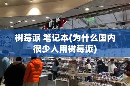 树莓派 笔记本(为什么国内很少人用树莓派)-第1张图片-星选测评