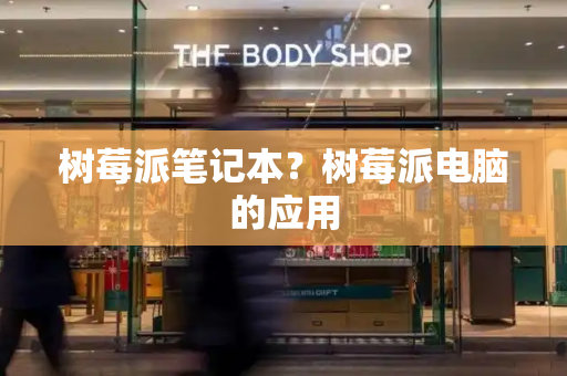 树莓派笔记本？树莓派电脑的应用