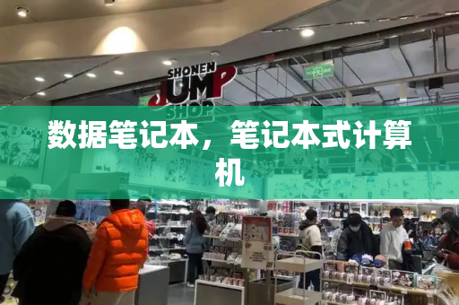 数据笔记本，笔记本式计算机