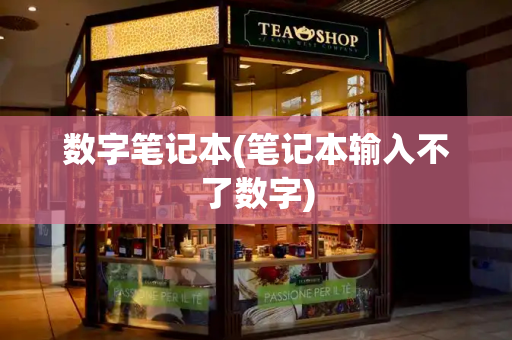 数字笔记本(笔记本输入不了数字)