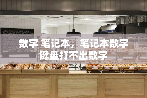 数字 笔记本，笔记本数字键盘打不出数字