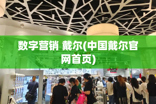 数字营销 戴尔(中国戴尔官网首页)-第1张图片-星选测评