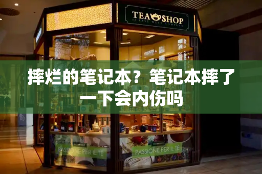 摔烂的笔记本？笔记本摔了一下会内伤吗