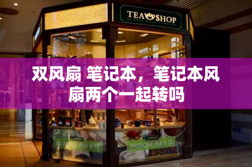 双风扇 笔记本，笔记本风扇两个一起转吗-第1张图片-星选测评