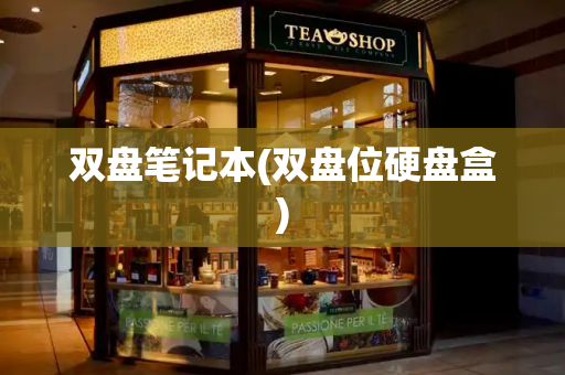 双盘笔记本(双盘位硬盘盒)