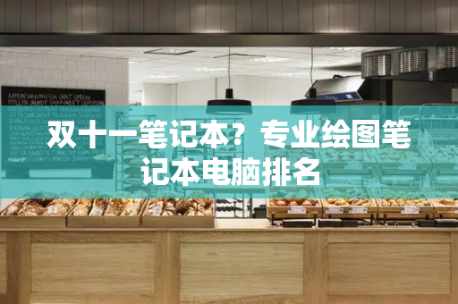 双十一笔记本？专业绘图笔记本电脑排名