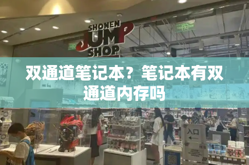 双通道笔记本？笔记本有双通道内存吗-第1张图片-星选测评