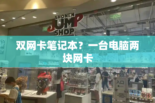 双网卡笔记本？一台电脑两块网卡-第1张图片-星选测评