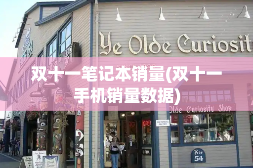 双十一笔记本销量(双十一手机销量数据)