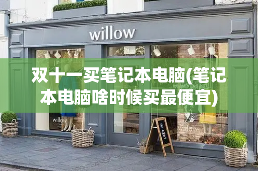 双十一买笔记本电脑(笔记本电脑啥时候买最便宜)