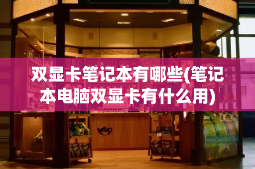 双显卡笔记本有哪些(笔记本电脑双显卡有什么用)
