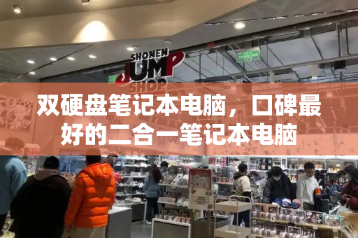双硬盘笔记本电脑，口碑最好的二合一笔记本电脑