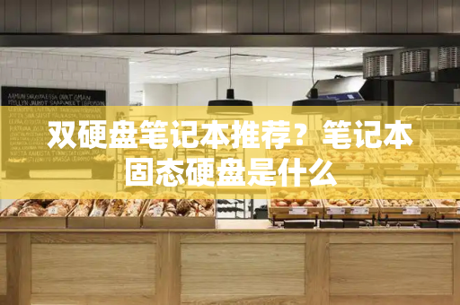 双硬盘笔记本推荐？笔记本固态硬盘是什么