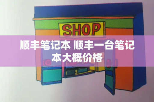顺丰笔记本 顺丰一台笔记本大概价格-第1张图片-星选测评
