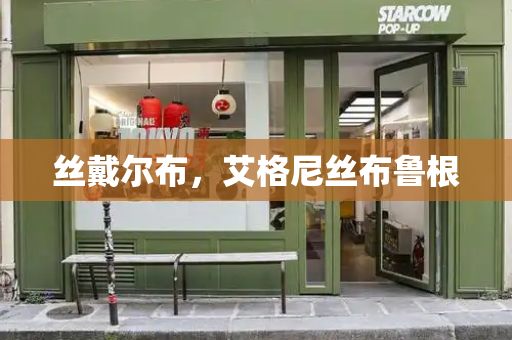 丝戴尔布，艾格尼丝布鲁根-第1张图片-星选测评