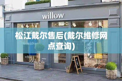 松江戴尔售后(戴尔维修网点查询)
