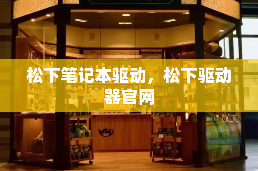 松下笔记本驱动，松下驱动器官网
