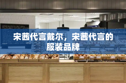宋茜代言戴尔，宋茜代言的服装品牌