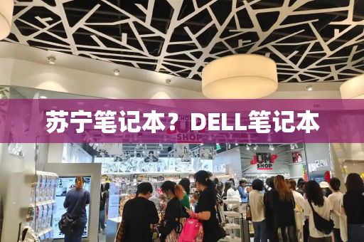苏宁笔记本？DELL笔记本-第1张图片-星选测评