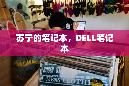 苏宁的笔记本，DELL笔记本