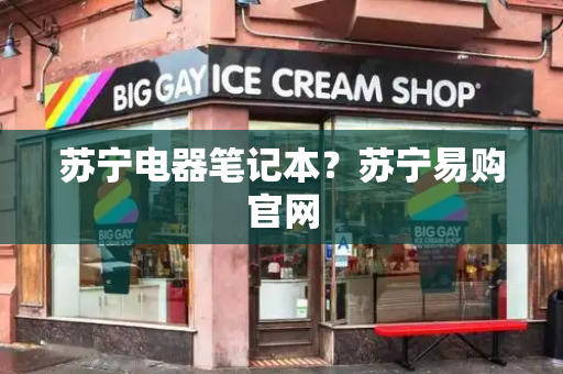 苏宁电器笔记本？苏宁易购官网
