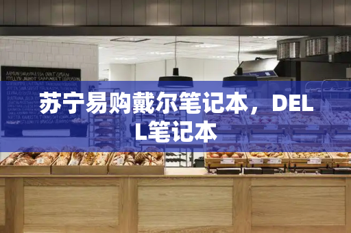 苏宁易购戴尔笔记本，DELL笔记本