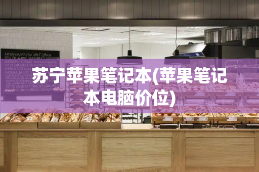 苏宁苹果笔记本(苹果笔记本电脑价位)-第1张图片-星选测评