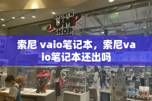 索尼 vaio笔记本，索尼vaio笔记本还出吗
