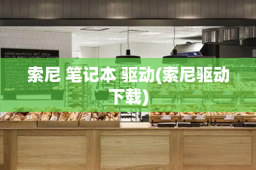 索尼 笔记本 驱动(索尼驱动下载)