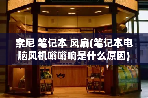 索尼 笔记本 风扇(笔记本电脑风机嗡嗡响是什么原因)-第1张图片-星选测评