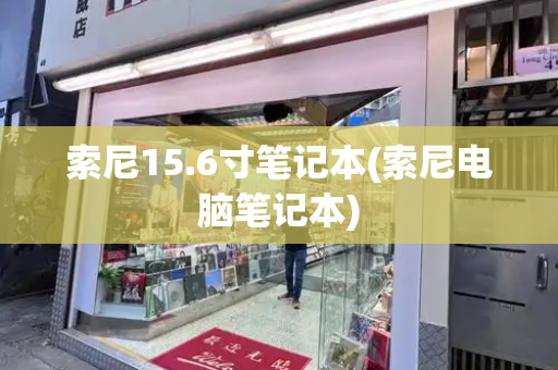索尼15.6寸笔记本(索尼电脑笔记本)-第1张图片-星选测评