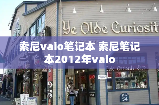索尼vaio笔记本 索尼笔记本2012年vaio-第1张图片-星选测评