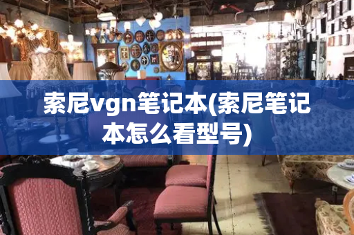 索尼vgn笔记本(索尼笔记本怎么看型号)-第1张图片-星选测评