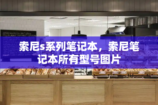 索尼s系列笔记本，索尼笔记本所有型号图片-第1张图片-星选测评