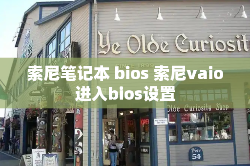 索尼笔记本 bios 索尼vaio进入bios设置-第1张图片-星选测评
