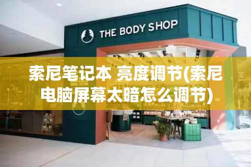 索尼笔记本 亮度调节(索尼电脑屏幕太暗怎么调节)