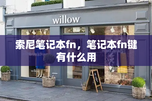 索尼笔记本fn，笔记本fn键有什么用-第1张图片-星选测评