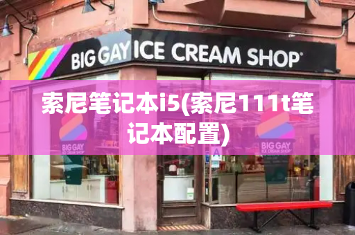 索尼笔记本i5(索尼111t笔记本配置)-第1张图片-星选测评
