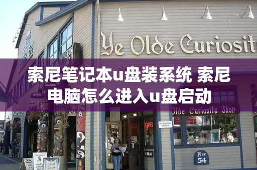 索尼笔记本u盘装系统 索尼电脑怎么进入u盘启动