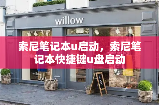 索尼笔记本u启动，索尼笔记本快捷键u盘启动-第1张图片-星选测评
